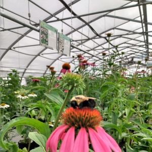 Meet your Posher, Audrey